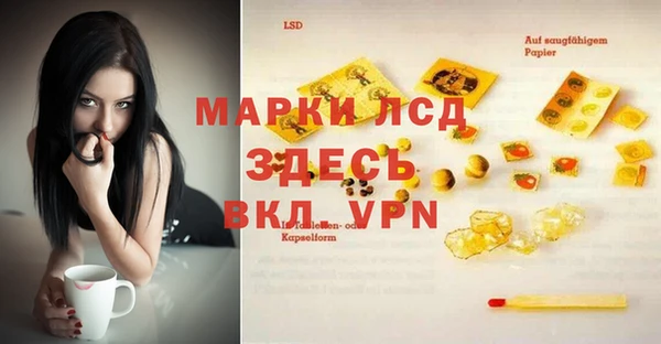 твердый Кулебаки